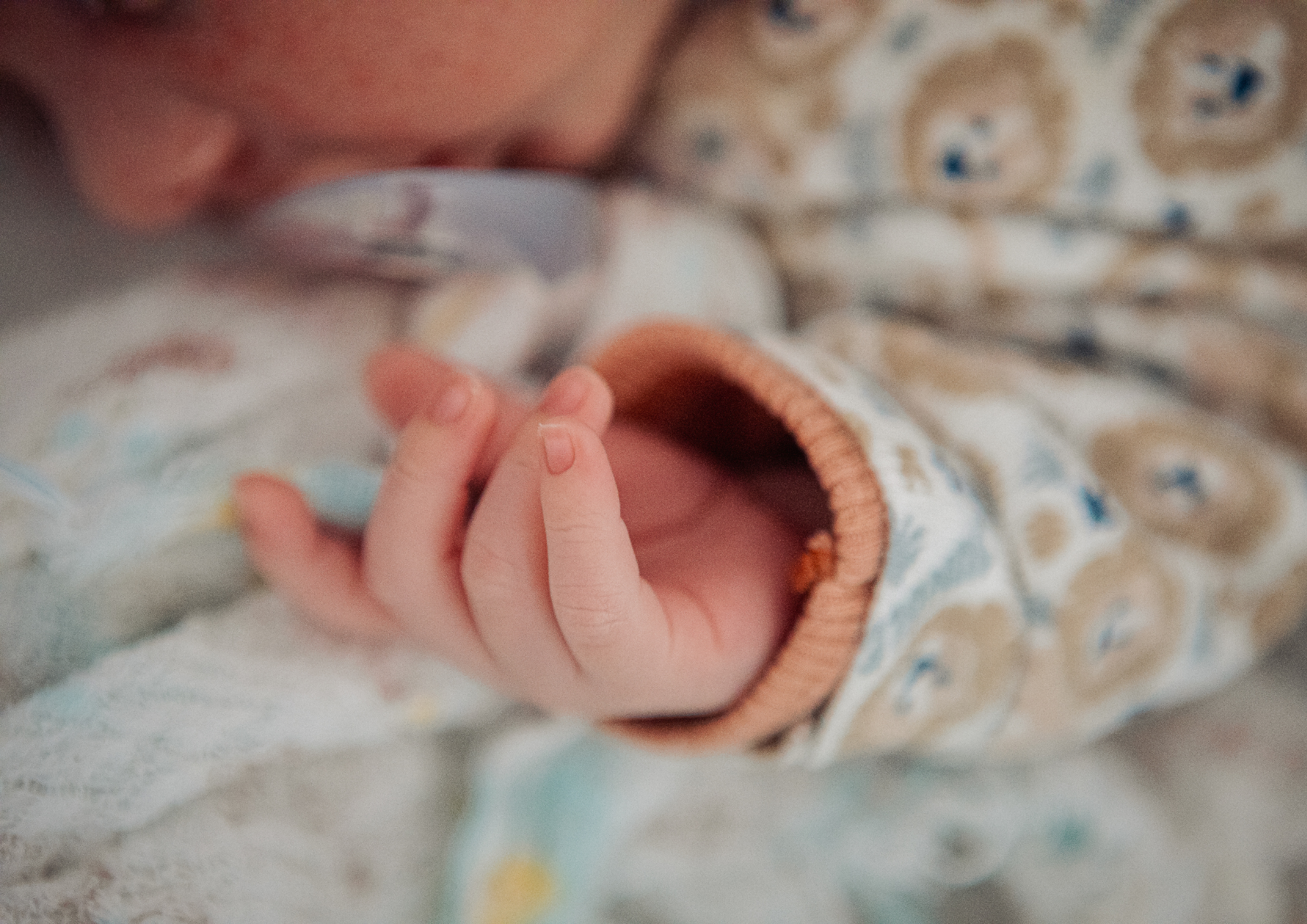 bebê acolhido, Lar das Crianças SERTE, cuidado infantil, acolhimento com amor, proteção à infância, desenvolvimento saudável, assistência social infantil, instituição filantrópica, bebê em segurança, carinho e afeto, infância protegida, cuidado e atenção, SERTE Obras Sociais, acolhimento infantil em Florianópolis, amor ao próximo